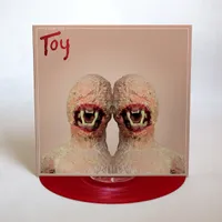 Toy