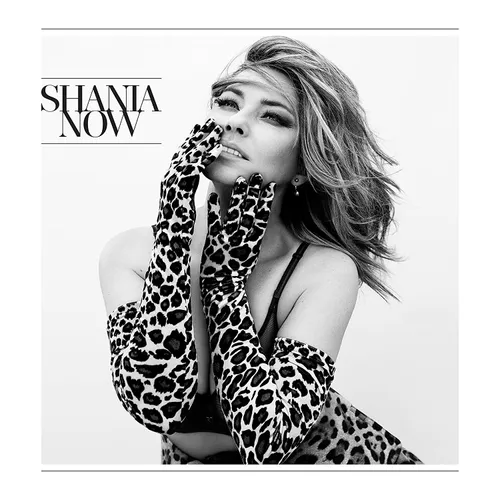 Shania Twain - Now vinyl record cover
