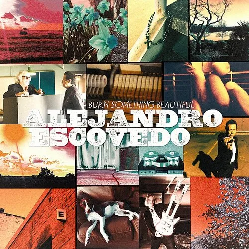 Alejandro Escovedo - Burn Something Beautiful vinyl record cover