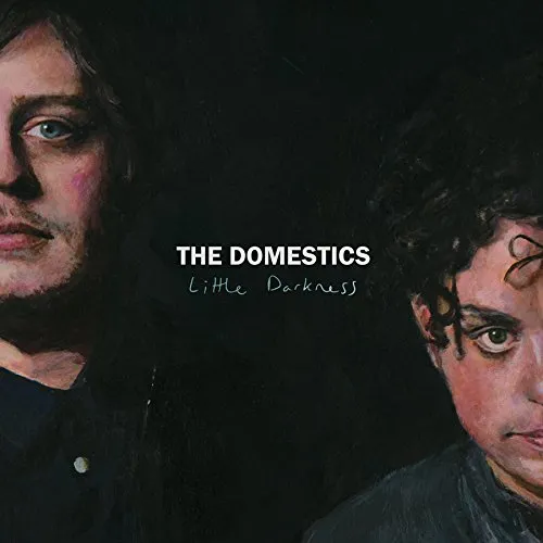 The Domestics - Little Darkness vinyl record cover