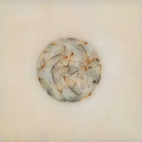 Lotte Kestner - Off White vinyl record cover