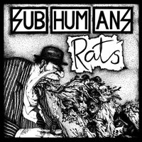 Time Flies & Rats