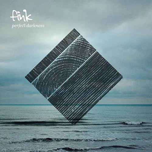 Fink - Perfect Darkness vinyl record cover