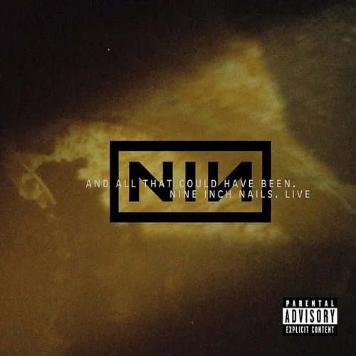 Nine Inch Nails - All That Could Have Been vinyl record cover
