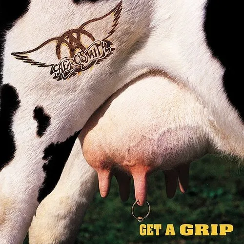 Aerosmith - Get a Grip vinyl record cover