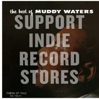 Best Of Muddy Waters