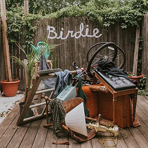 Slaughter Beach, Dog - Birdie vinyl record cover