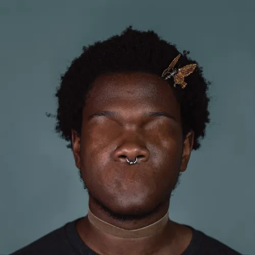 Shamir - Revelations vinyl record cover