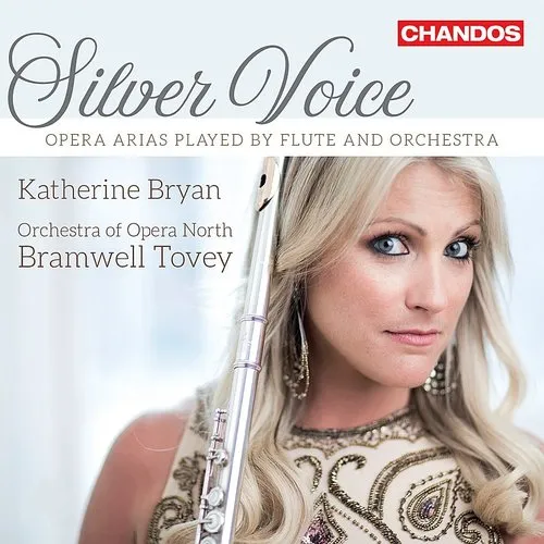 Bramwell Tovey - Silver Voice vinyl record cover