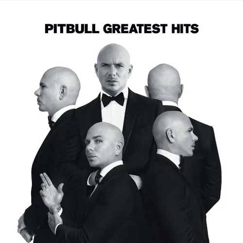 Pitbull - Greatest Hits vinyl record cover