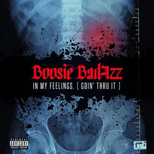Boosie Badazz - In My Feelings (Goin' Thru It) vinyl record cover