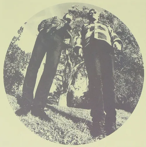 Ty Segall - Hair vinyl record cover