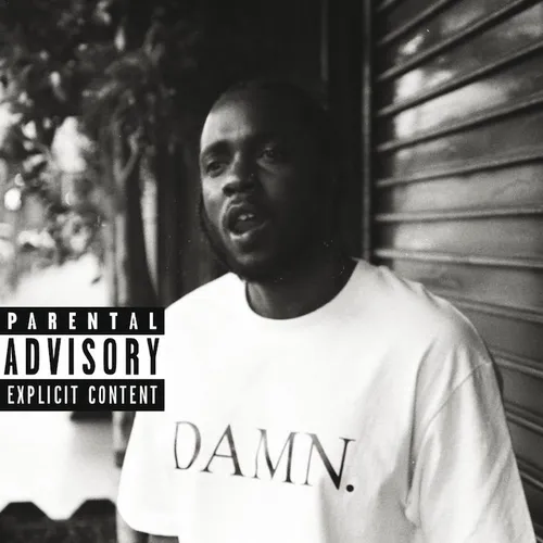 Kendrick Lamar - Damn. Collectors Edition. vinyl record cover