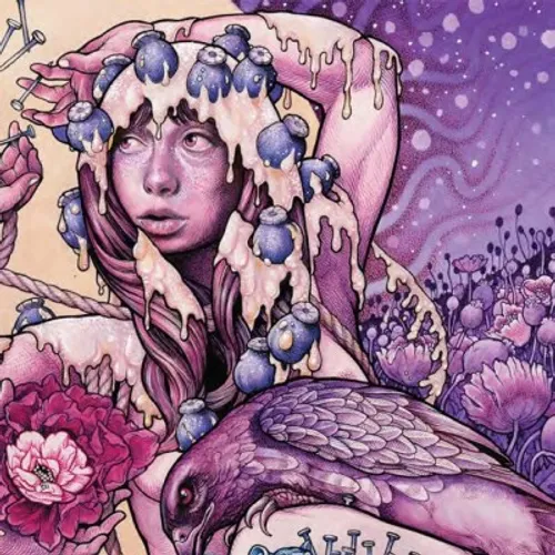 Baroness - Try To Disappear vinyl record cover