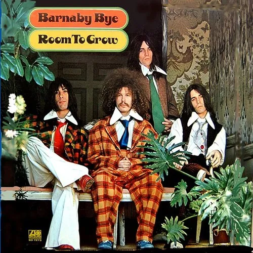 Barnaby Bye - Room to Grow vinyl record cover