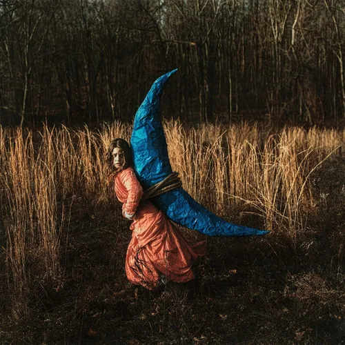 Holly Miranda - Mutual Horse vinyl record cover