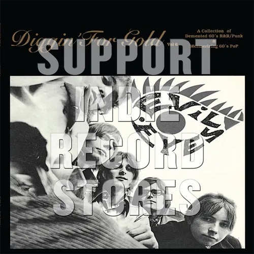 Various Artists - Diggin' For Gold Volume 6 vinyl record cover