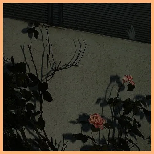 Soft Kill - Savior vinyl record cover
