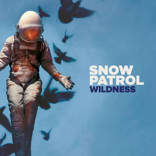 Snow Patrol - Wildness vinyl record cover