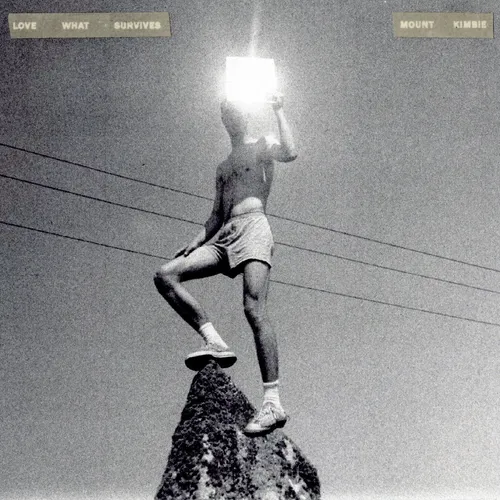 Mount Kimbie - Love What Survives vinyl record cover