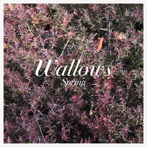 Wallows - Spring EP vinyl record cover