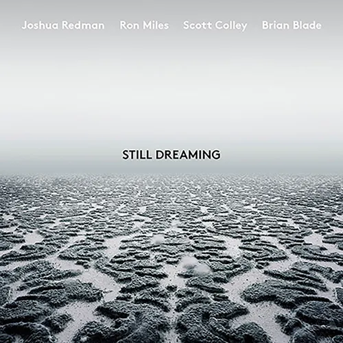Joshua Redman - Still Dreaming vinyl record cover