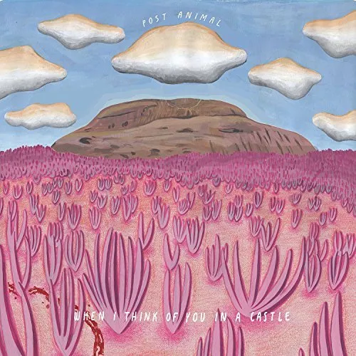 Post Animal - When I Think Of You In A Castle vinyl record cover