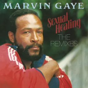 Sexual Healing: The Remixes