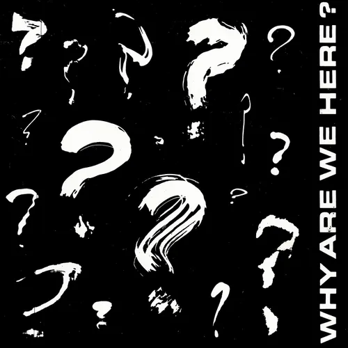 Artist - Why Are We Here? vinyl record cover