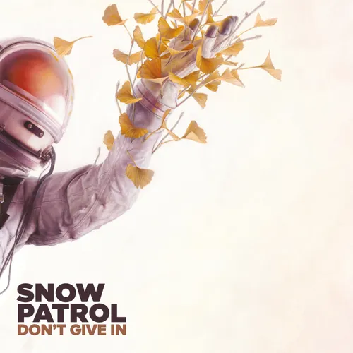 Snow Patrol - Don't Give In / Life On Earth (10in) vinyl record cover