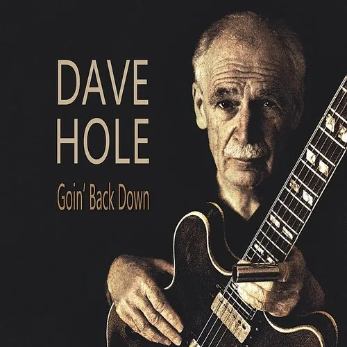 Dave Hole - Goin' Back Down vinyl record cover