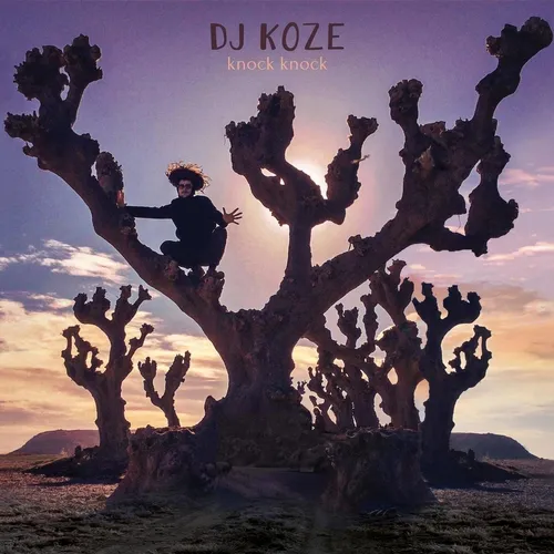 DJ Koze - Knock Knock vinyl record cover