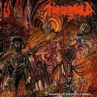 Manor Of Infinite Forms