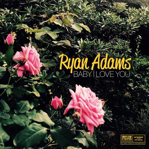 Ryan Adams - Baby I Love You vinyl record cover