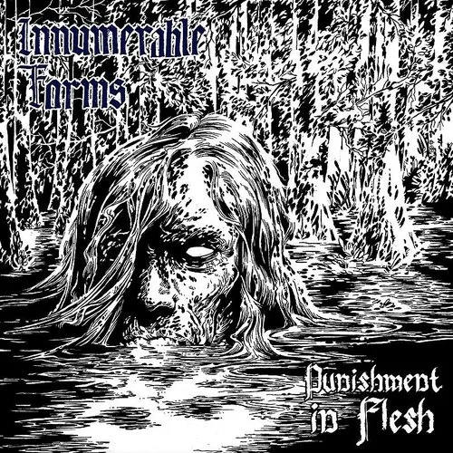Innumerable Forms - Punishment In Flesh vinyl record cover