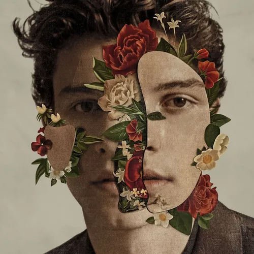Shawn Mendes - Shawn Mendes vinyl record cover