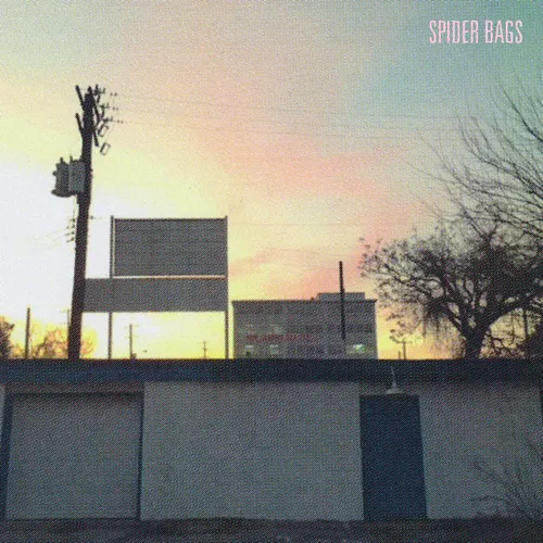 Spider Bags - Someday Everything Will Be Fine vinyl record cover