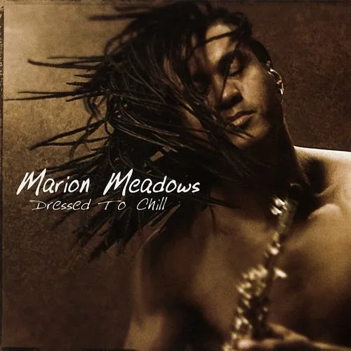 Marion Meadows - Dressed to Chill vinyl record cover
