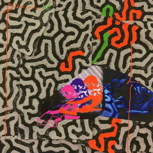 Animal Collective - Tangerine Reef vinyl record cover