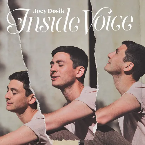 Joey Dosik - Inside Voice vinyl record cover
