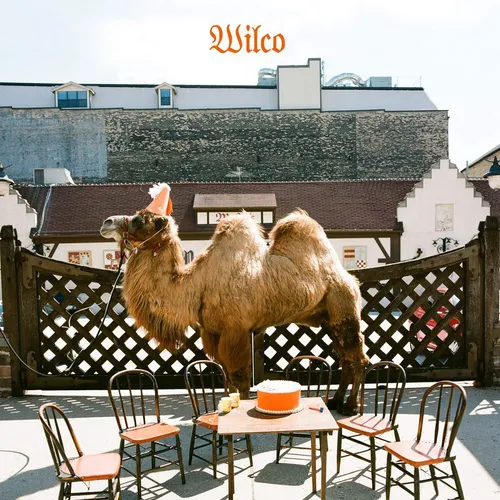Wilco - Wilco (The Album) vinyl record cover