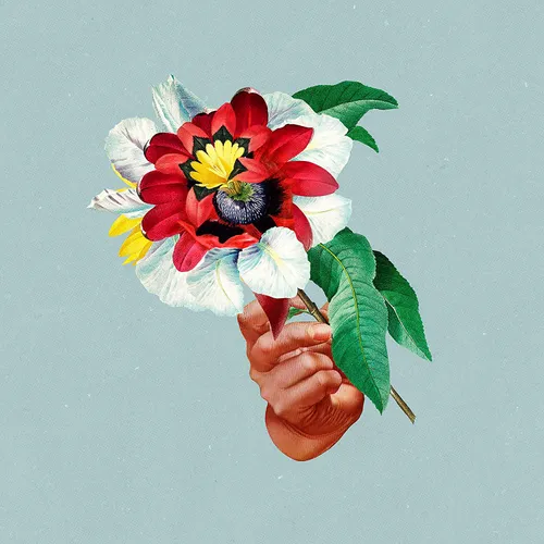 Maribou State - Kingdoms In Colour vinyl record cover