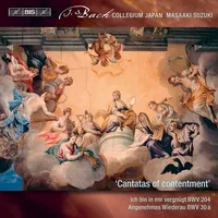 Secular Cantatas 10