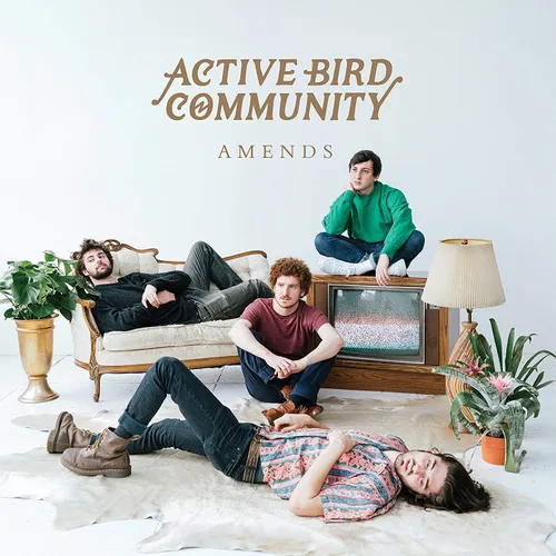 Active Bird Community - Amends vinyl record cover