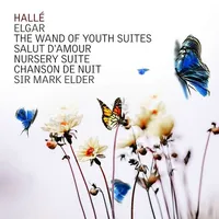 Wand of Youth Suites