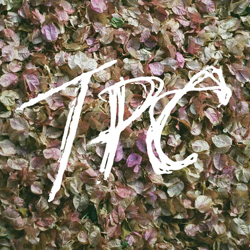 Tokyo Police Club - Tpc vinyl record cover