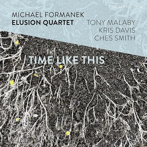 Michael Formanek - Time Like This vinyl record cover