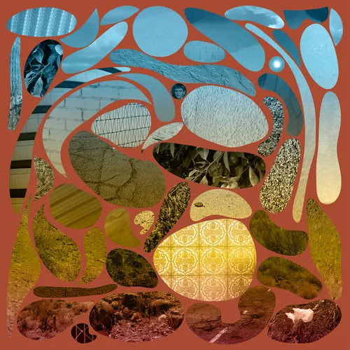 Pedro The Lion - Phoenix vinyl record cover