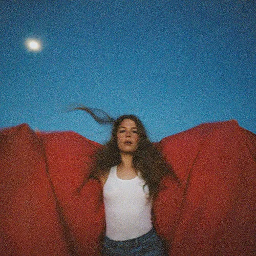 Maggie Rogers - Heard It In A Past Life vinyl record cover