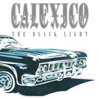 The Black Light: 20th Anniversary Edition